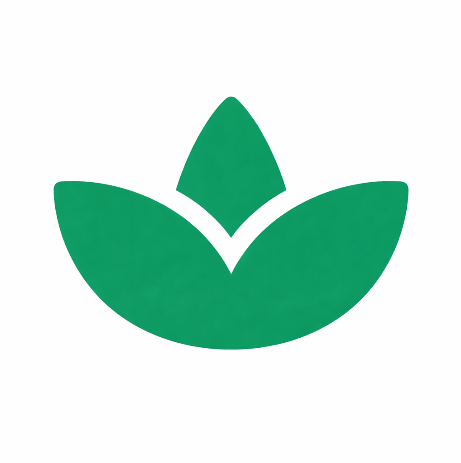 Logo Marcell Barcheski